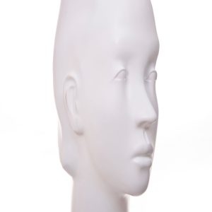 Androgyn