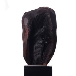 facenoir-04.2-2024 Facenoir-2024